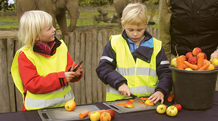 EK Redblock Sfversion